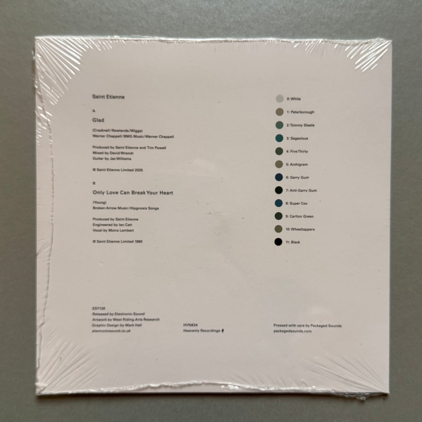 Electronic Sound Magazine 126 Saint Etienne with sealed 7" Glad single
