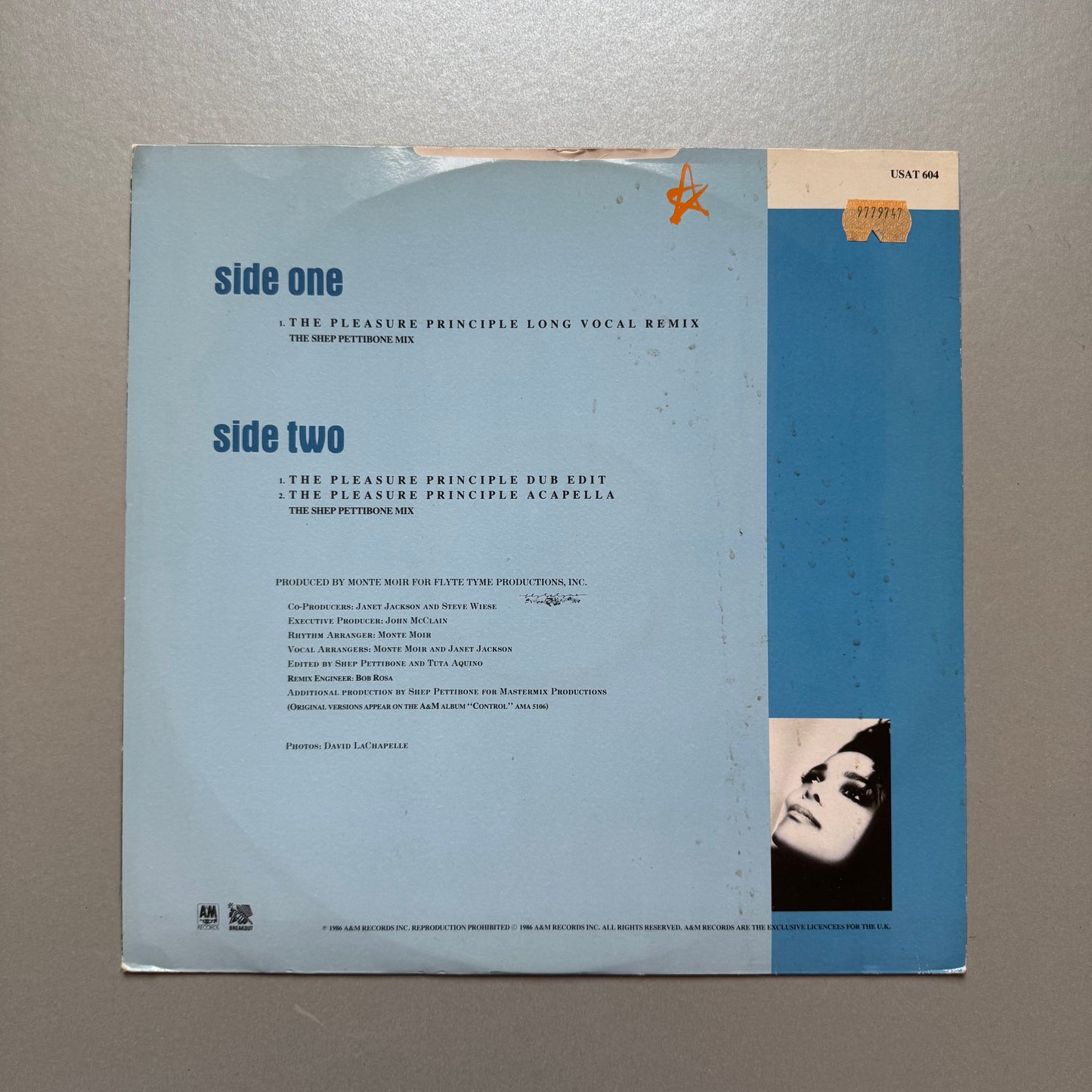 Janet Jackson the Pleasure Principle UK 12" single