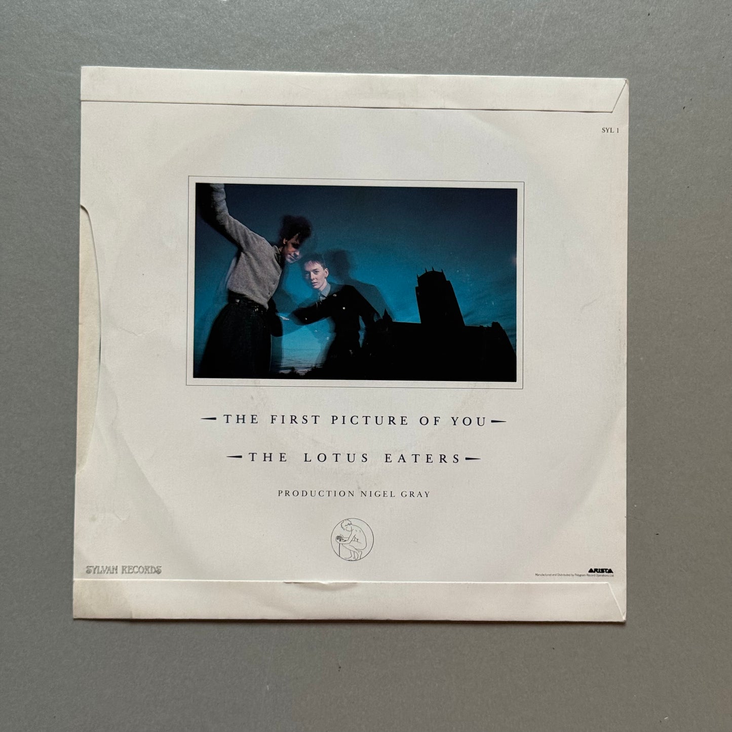 The Lotus Eaters The First Picture of You UK 7” single